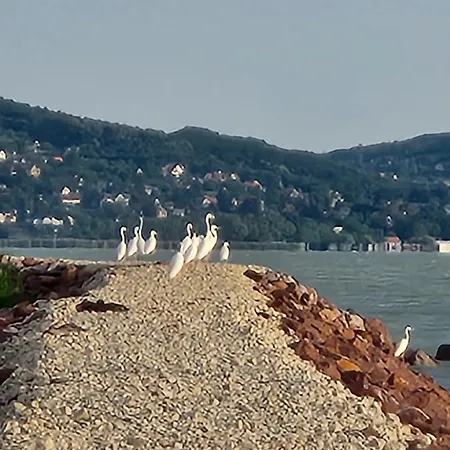Haz A Szigeten Dom wakacyjny Fonyód